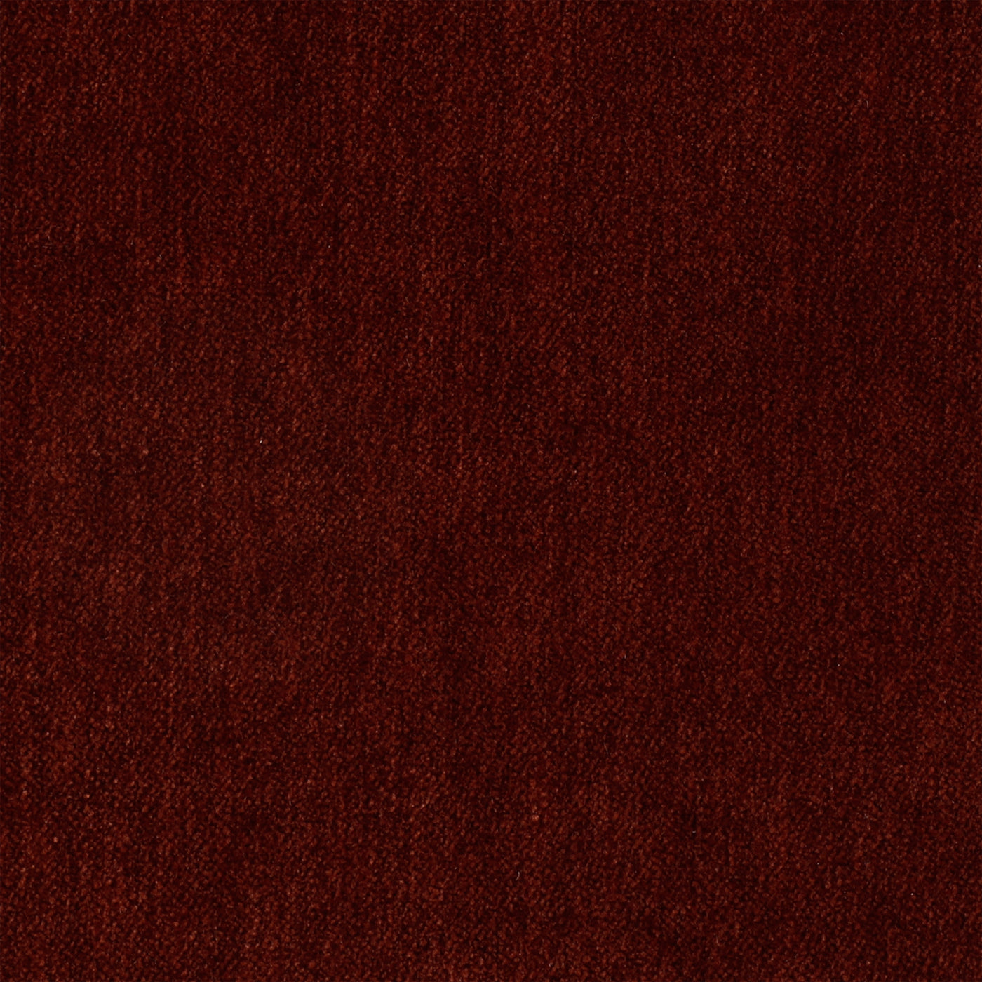 Plush Velvet Scarlet
