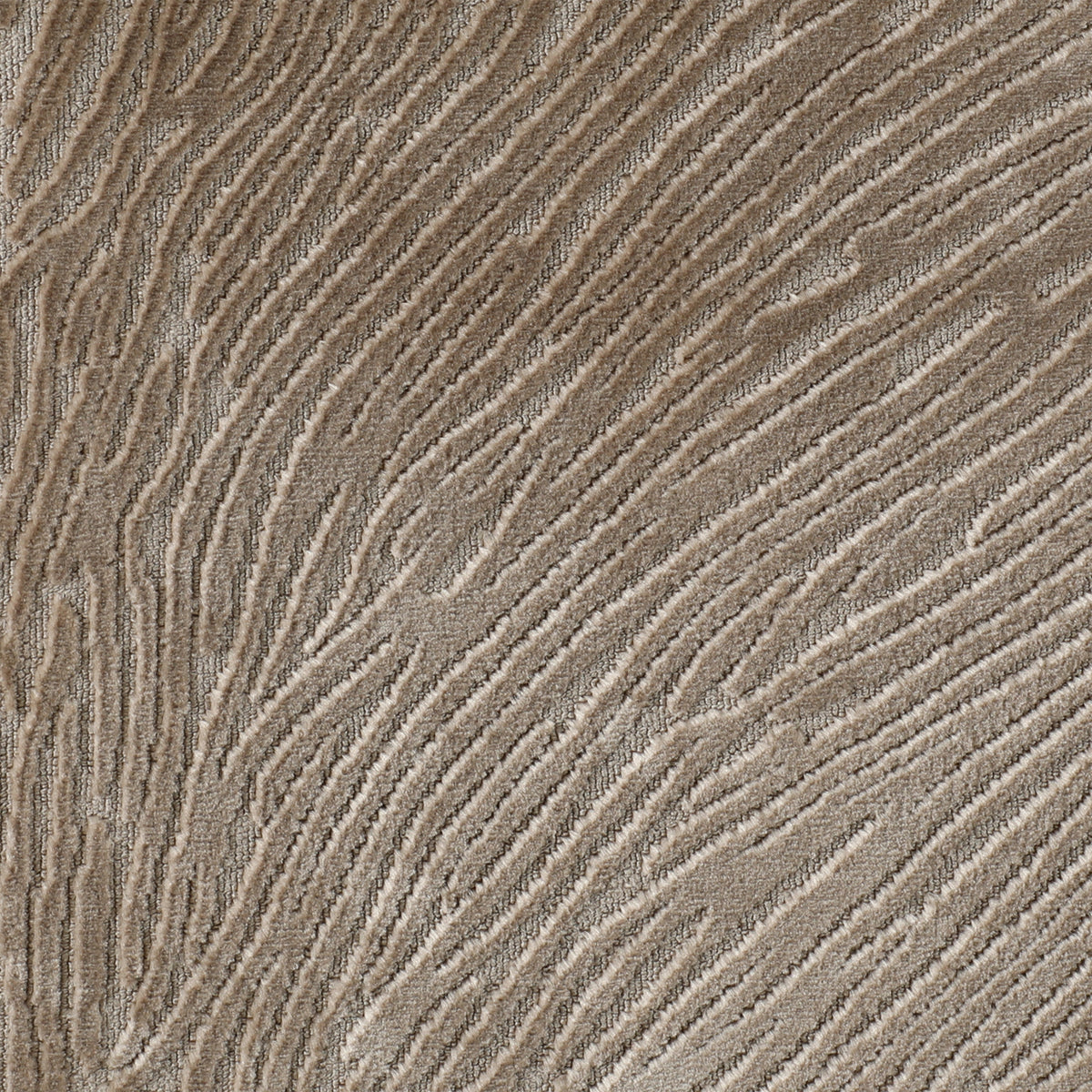 Fingerprint Mink