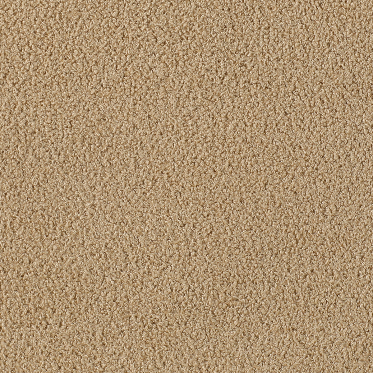 Pierson Camel