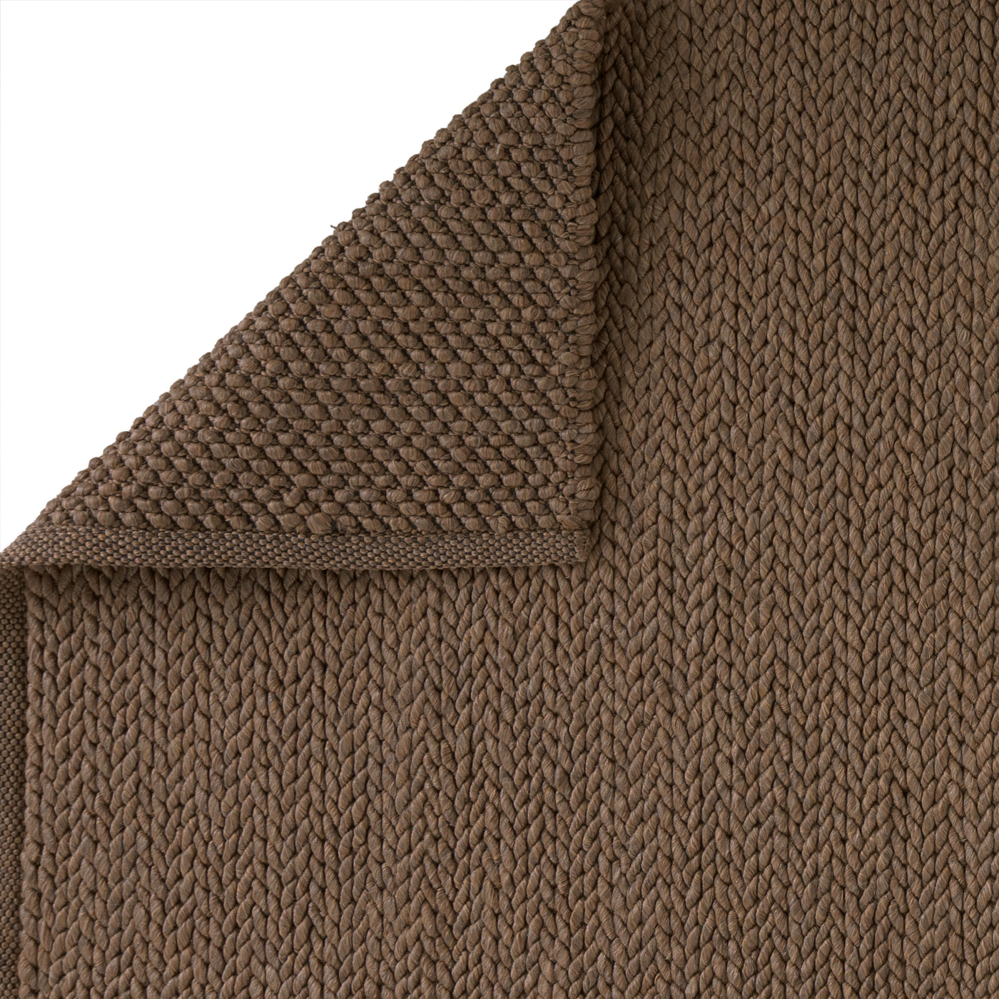 coconut-wj-100445