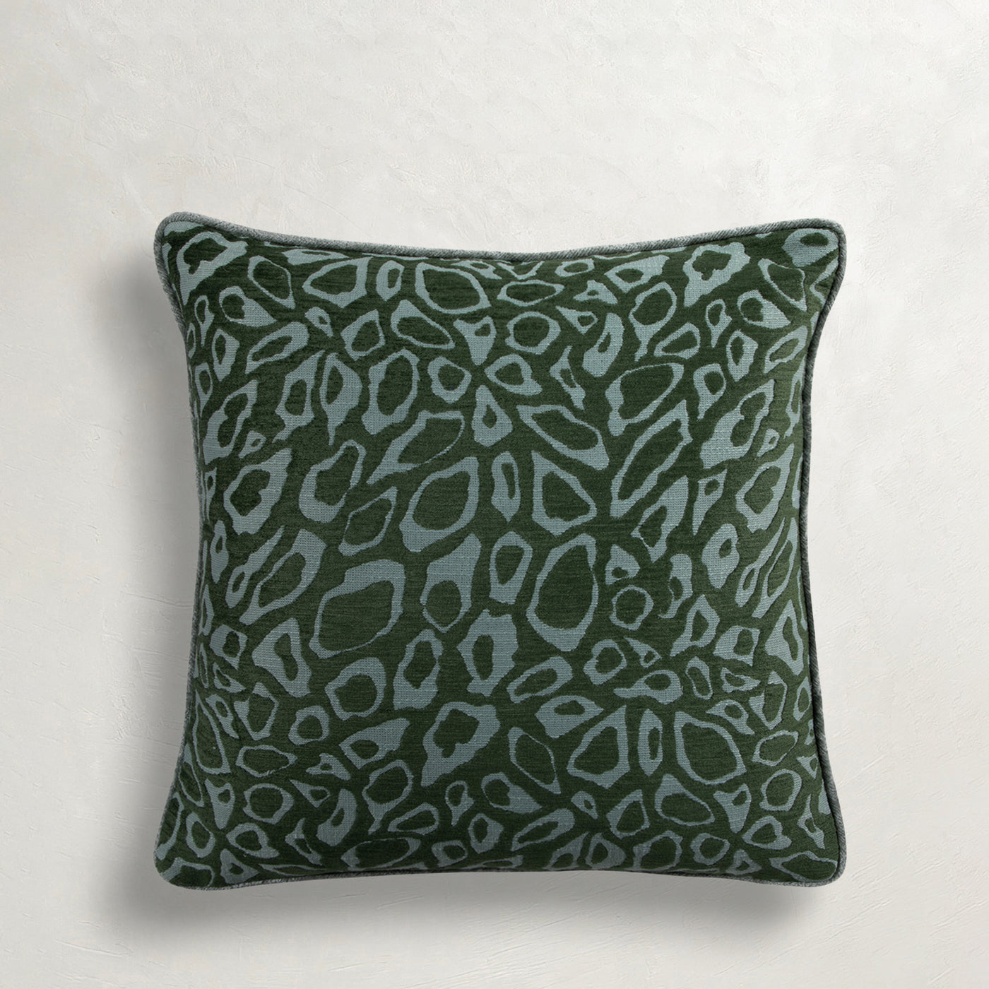 forest-wj-100244