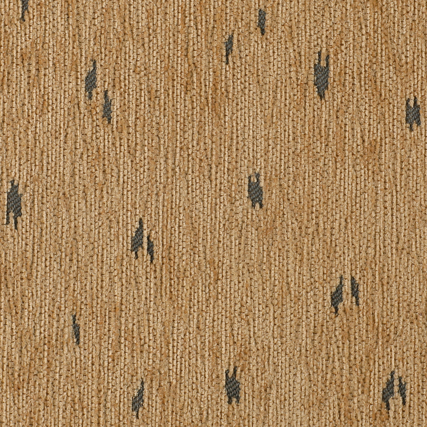Bambi Camel