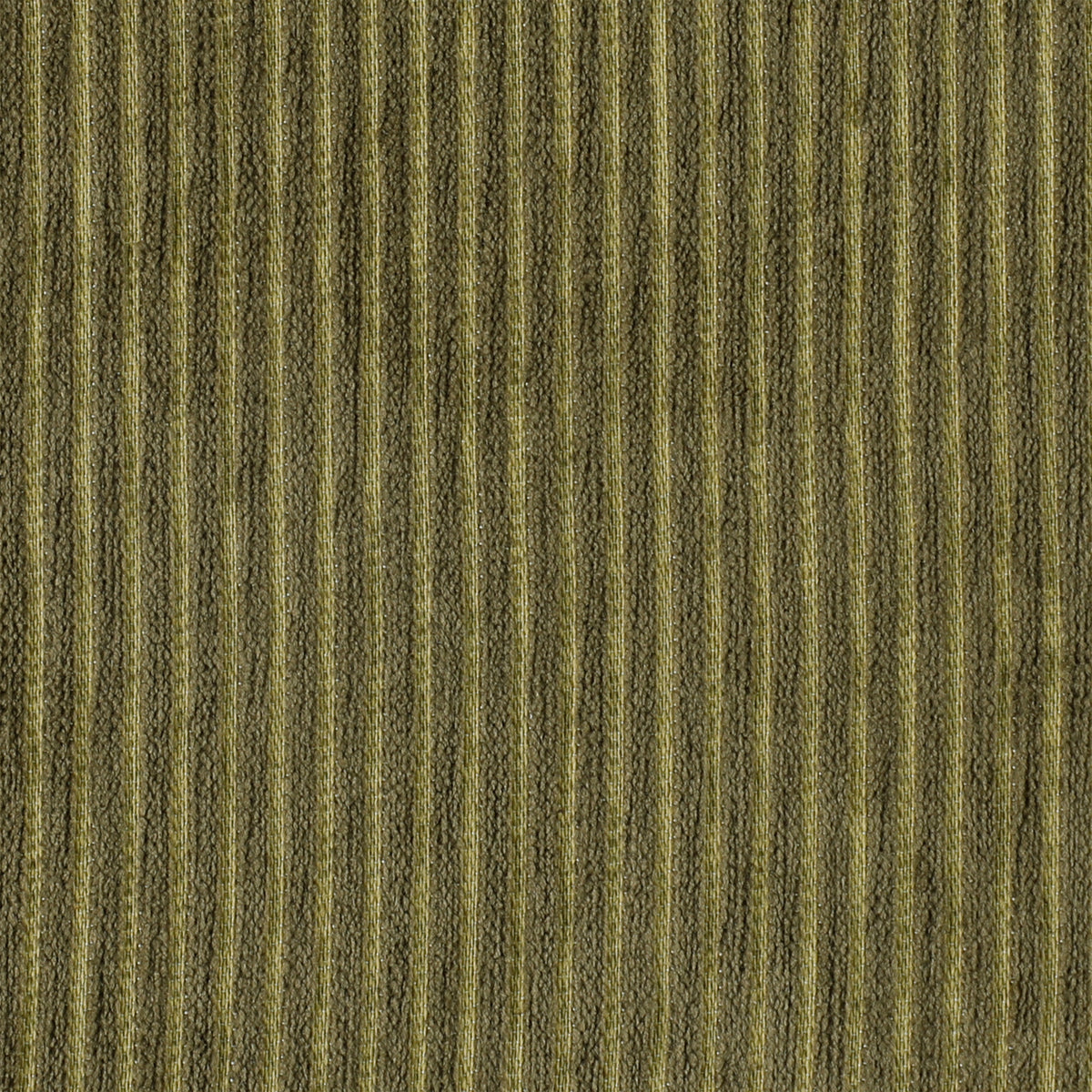 Fine Line Forest