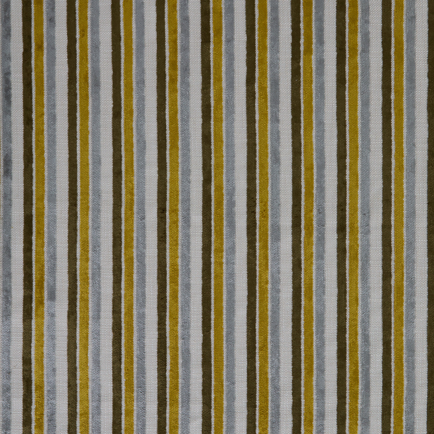 Borderline Citron Fabric Swatch Image