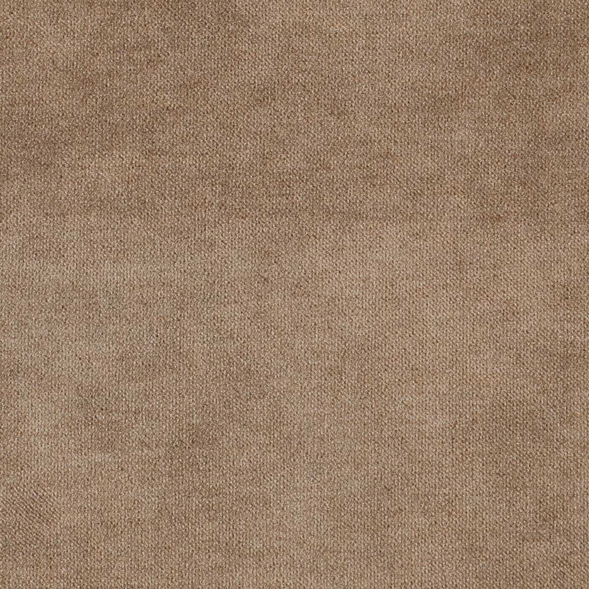 Velvet Taupe