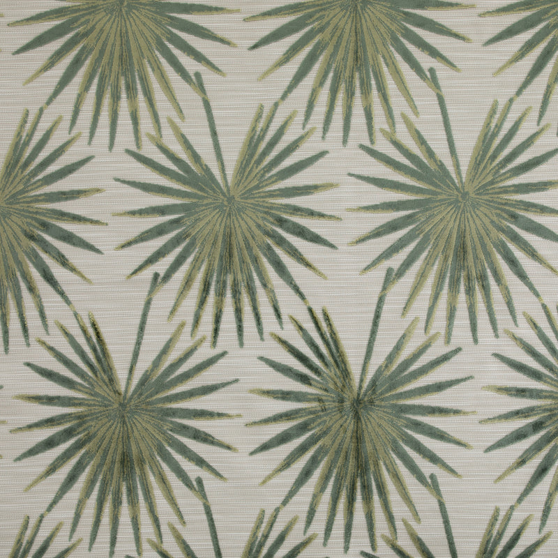 Tropicana Blue Spruce