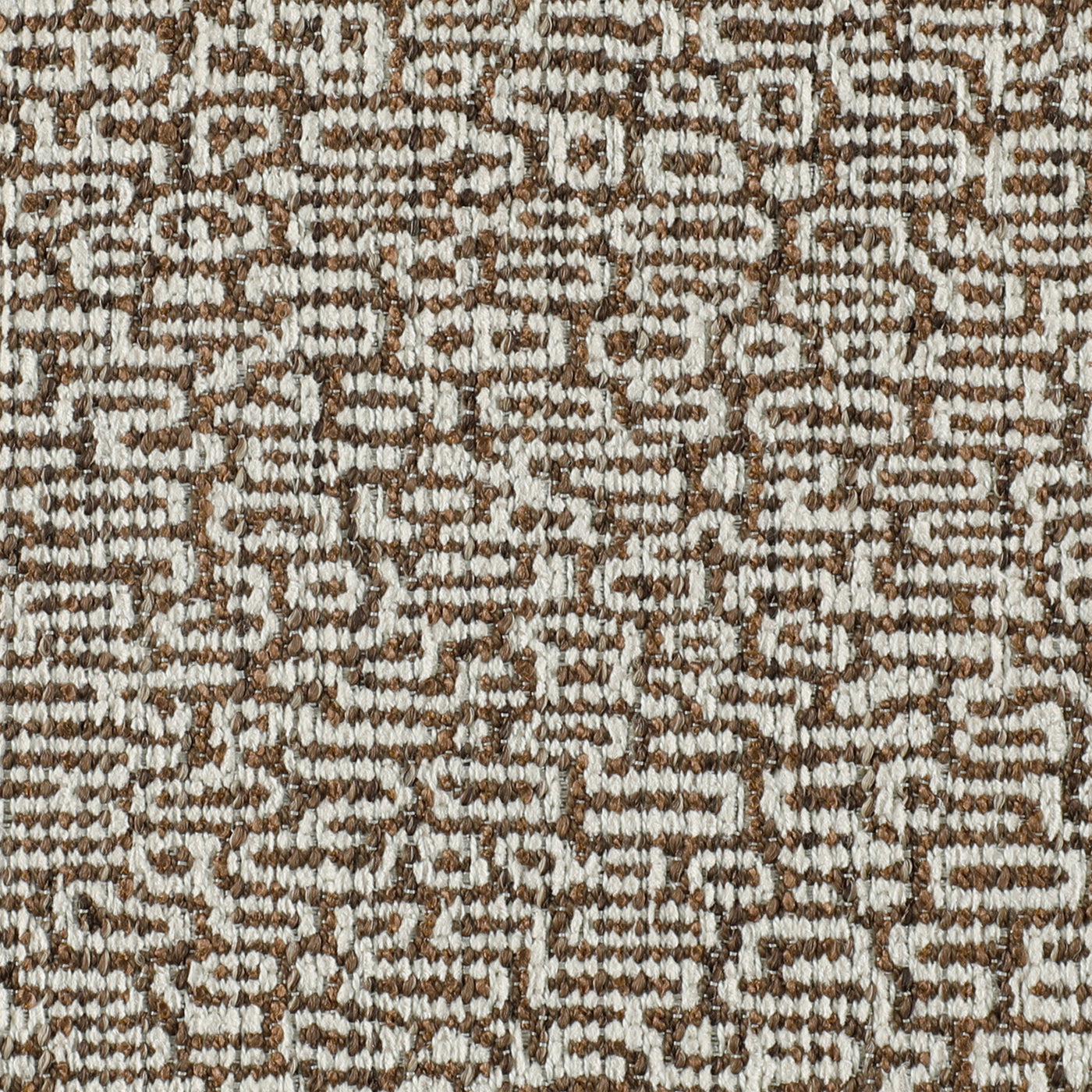 Seismic Bark