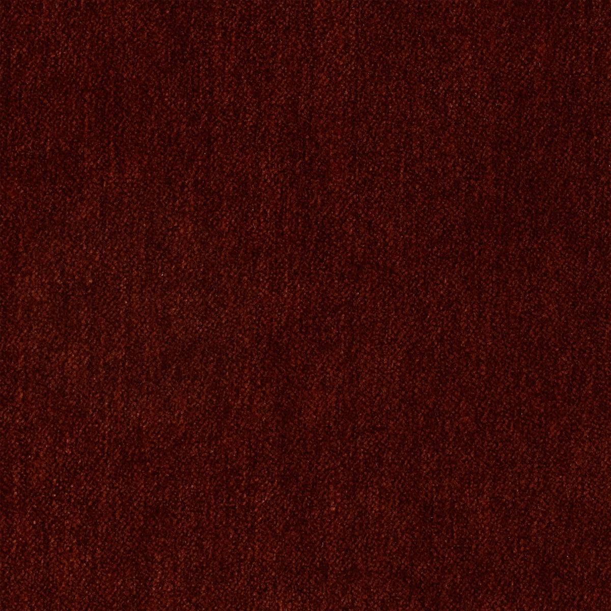 Plush Velvet Scarlet