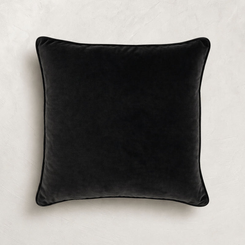 Plush Indoor Throw Pillow