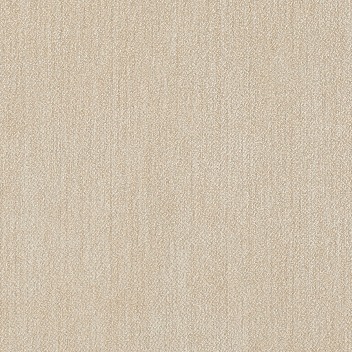 Plush Velvet Oatmeal