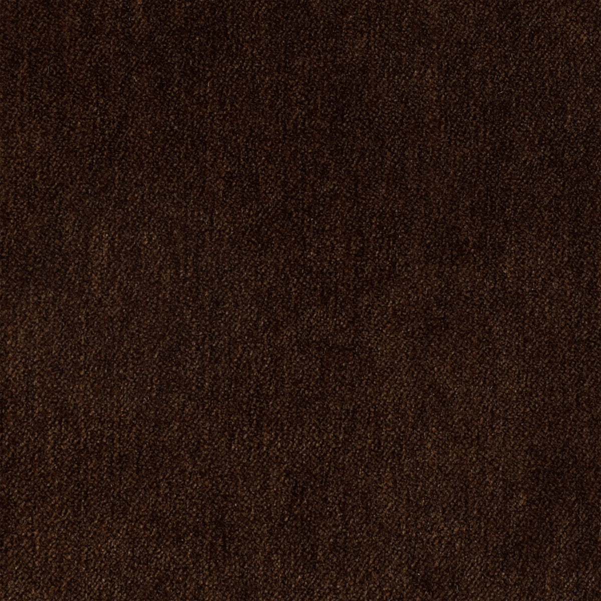 Plush Velvet Chocolate