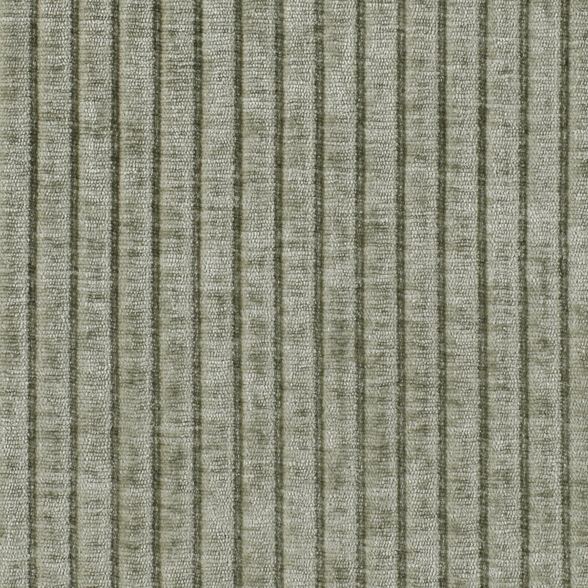 Ribbed Moss
