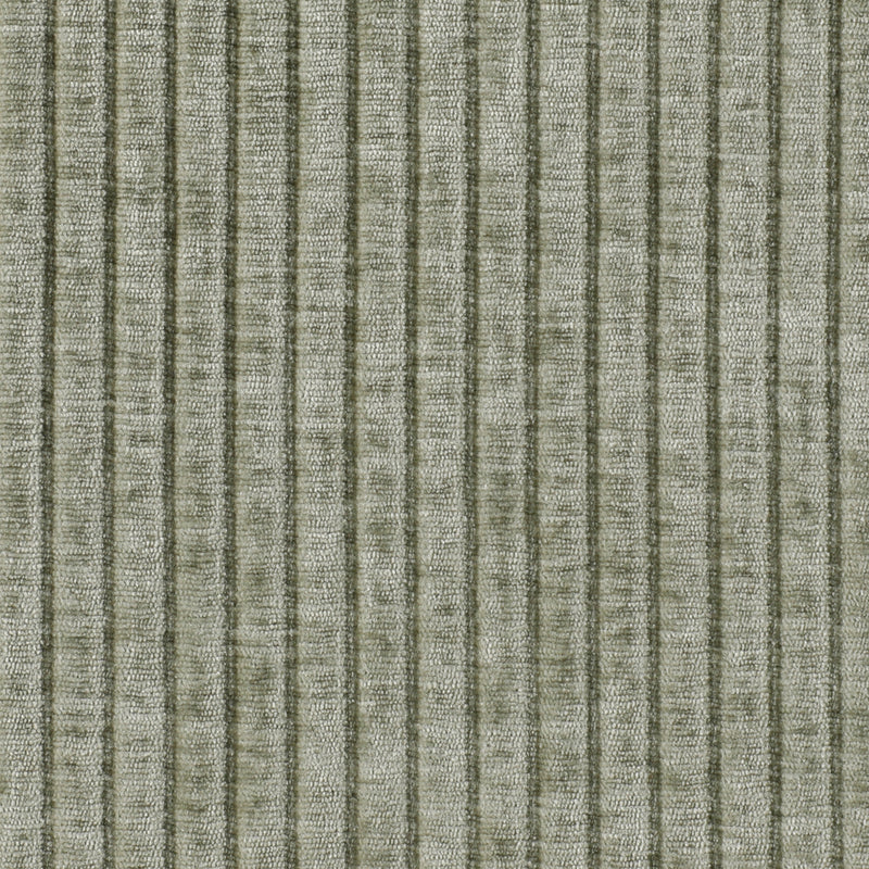 Ribbed Moss