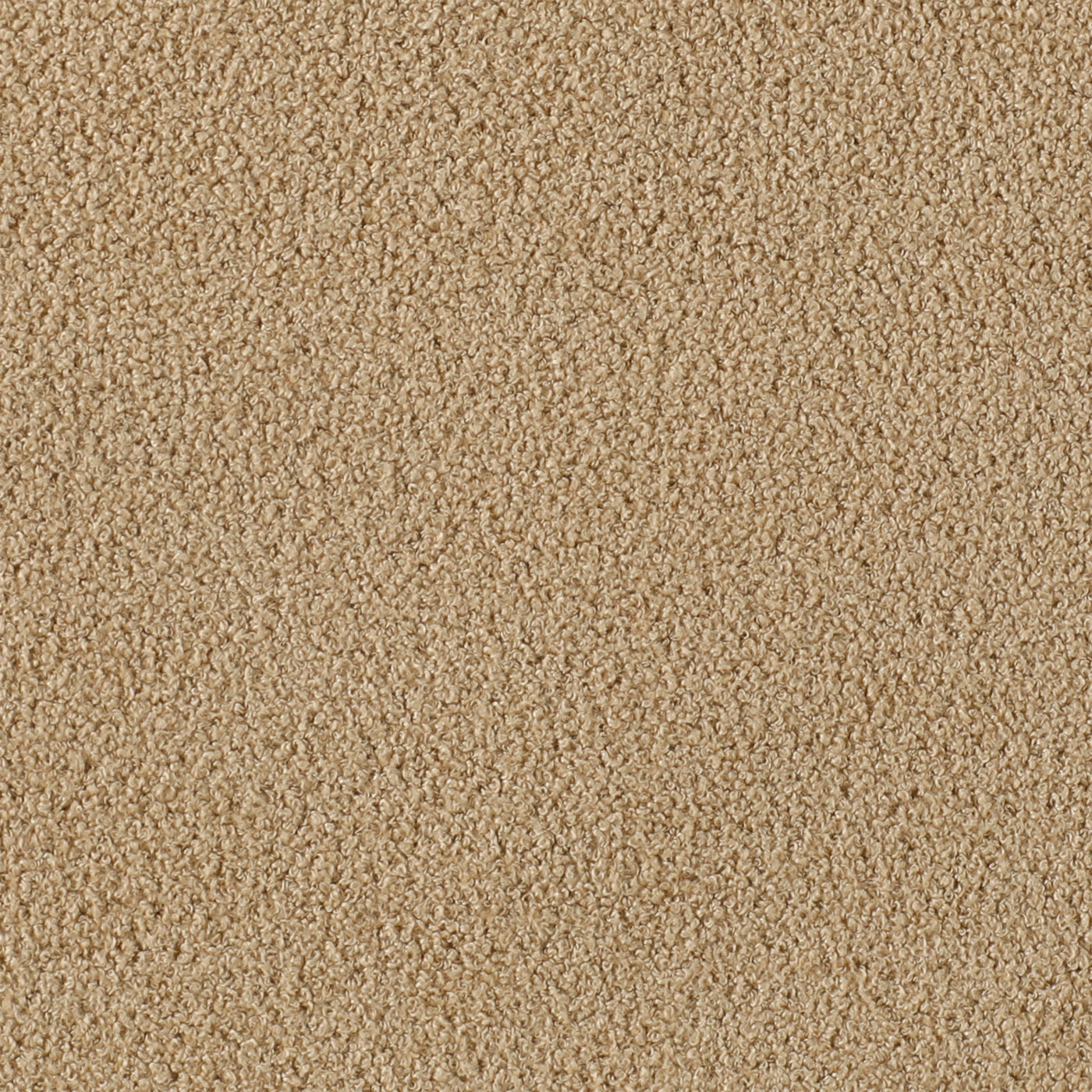 Pierson Camel