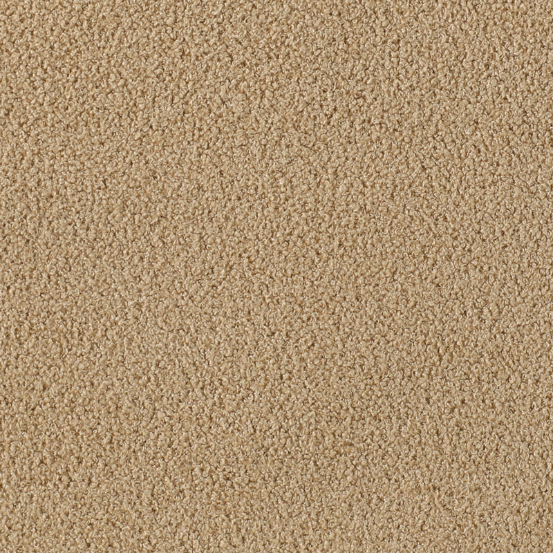 Pierson Camel