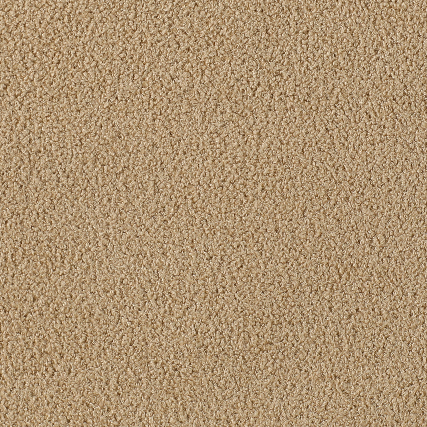 Pierson Camel