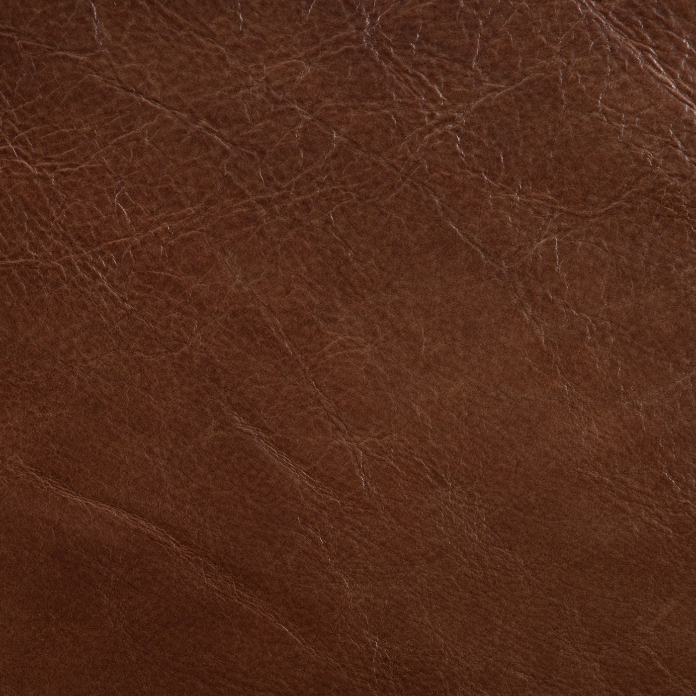 Yellowstone Chestnut