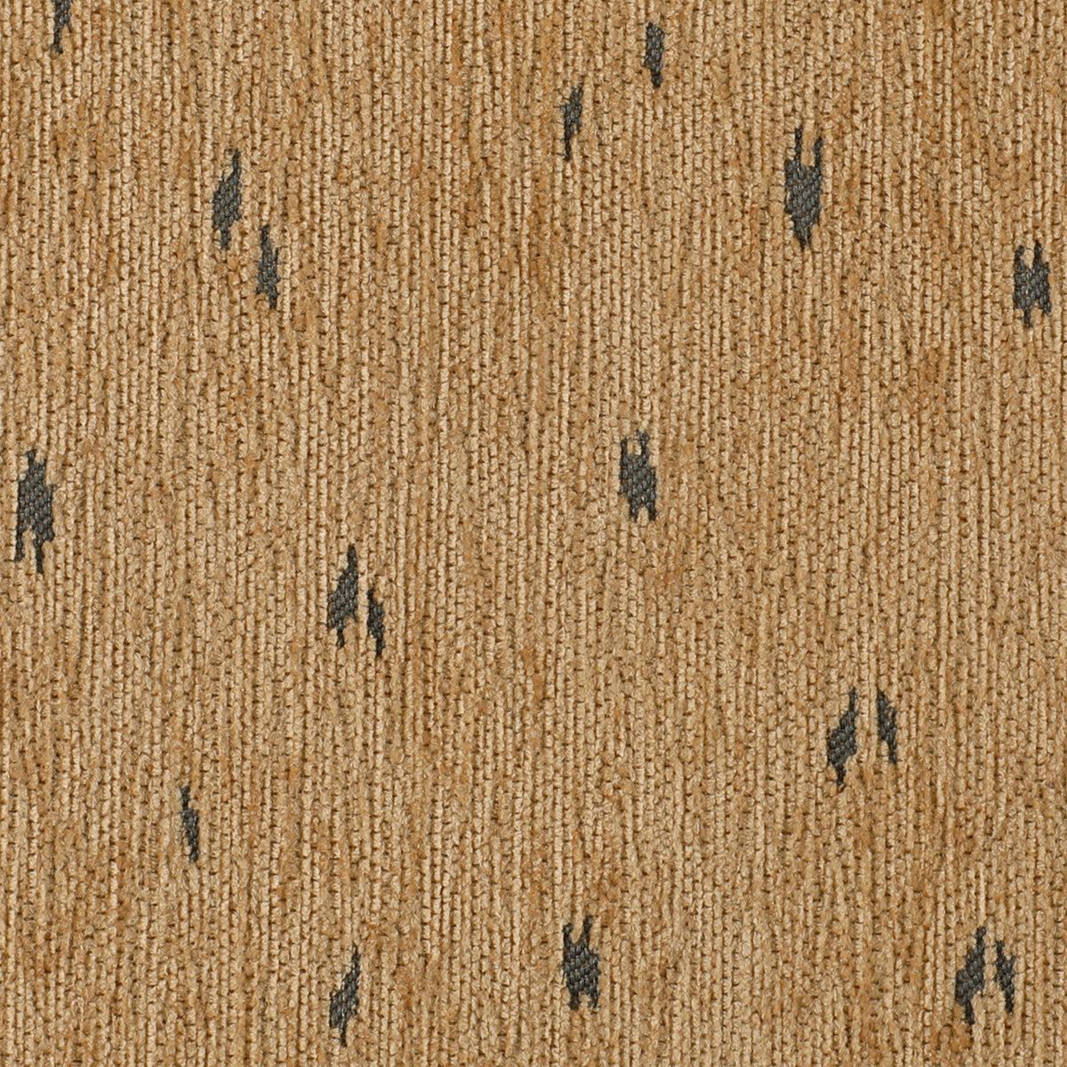 Bambi Camel