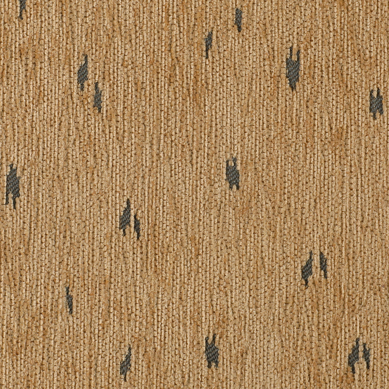 Bambi Camel