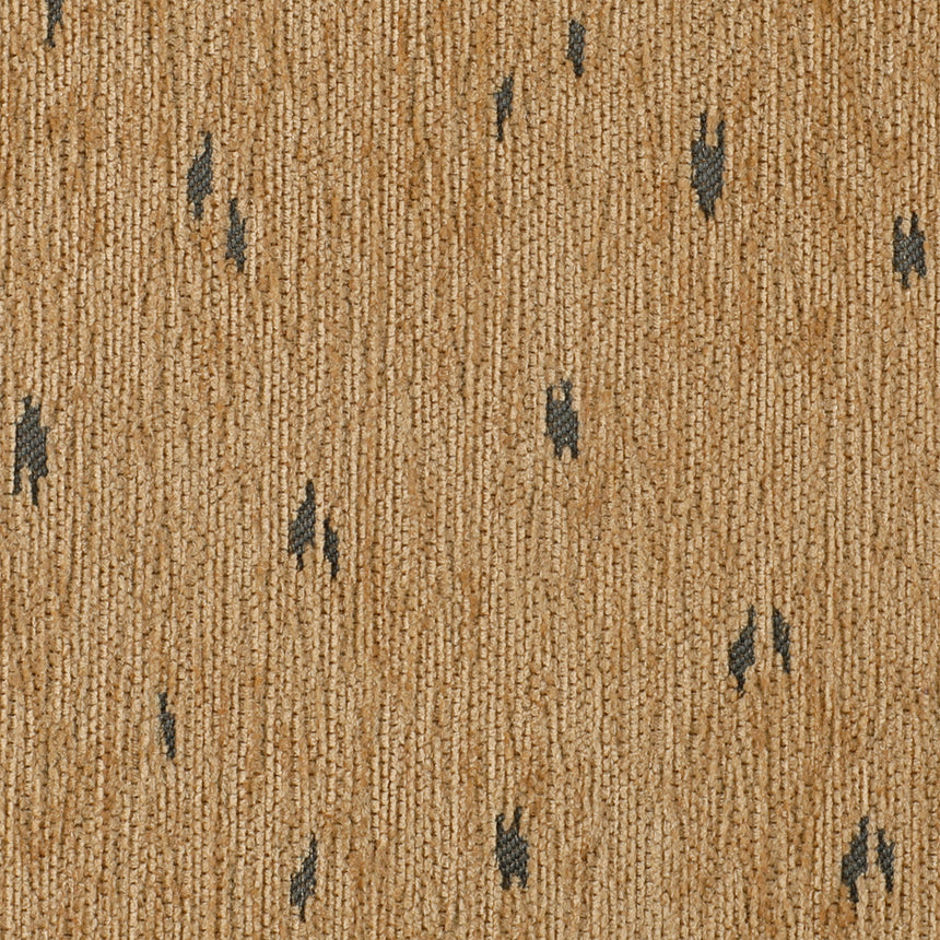 Bambi Camel