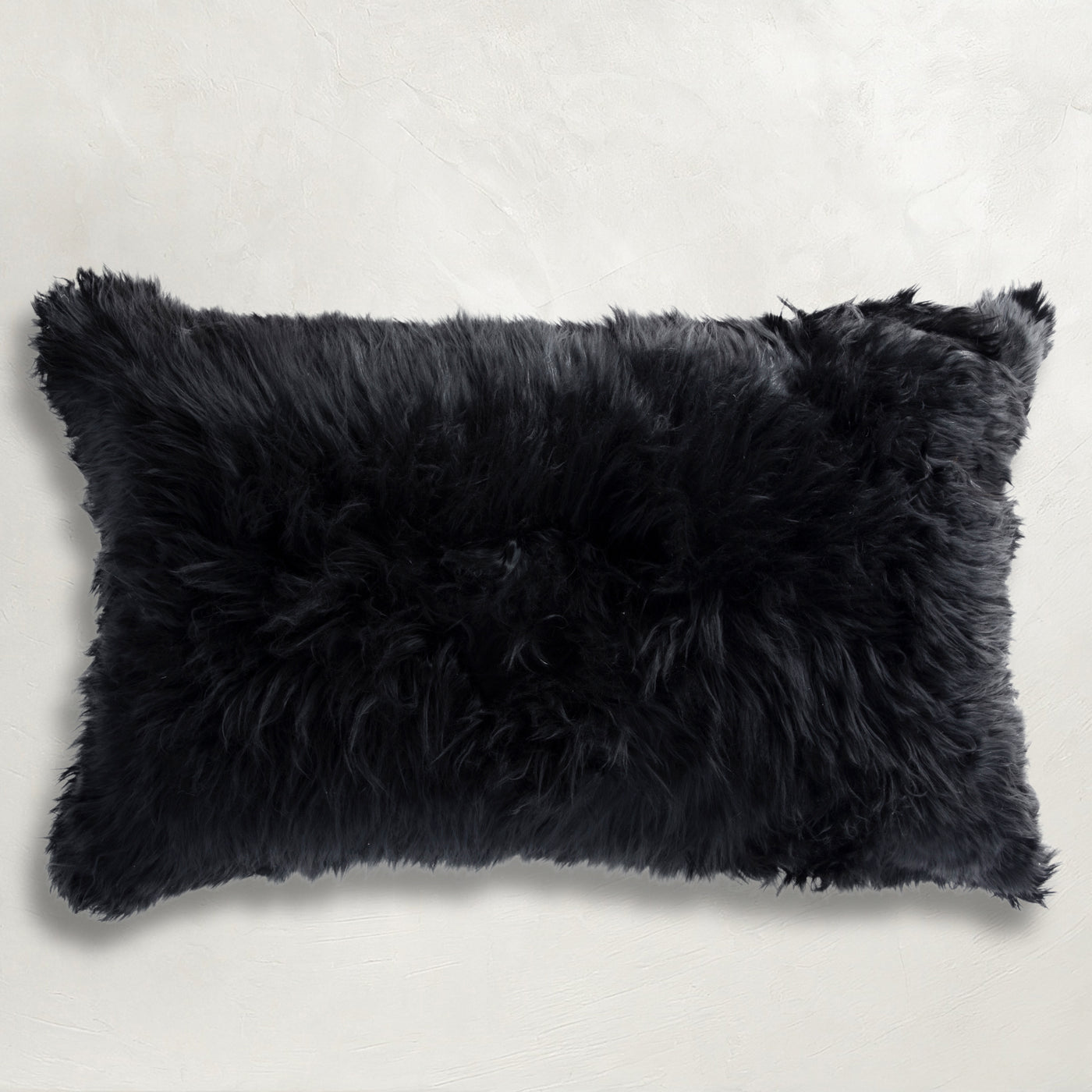 midnight-wj-100012