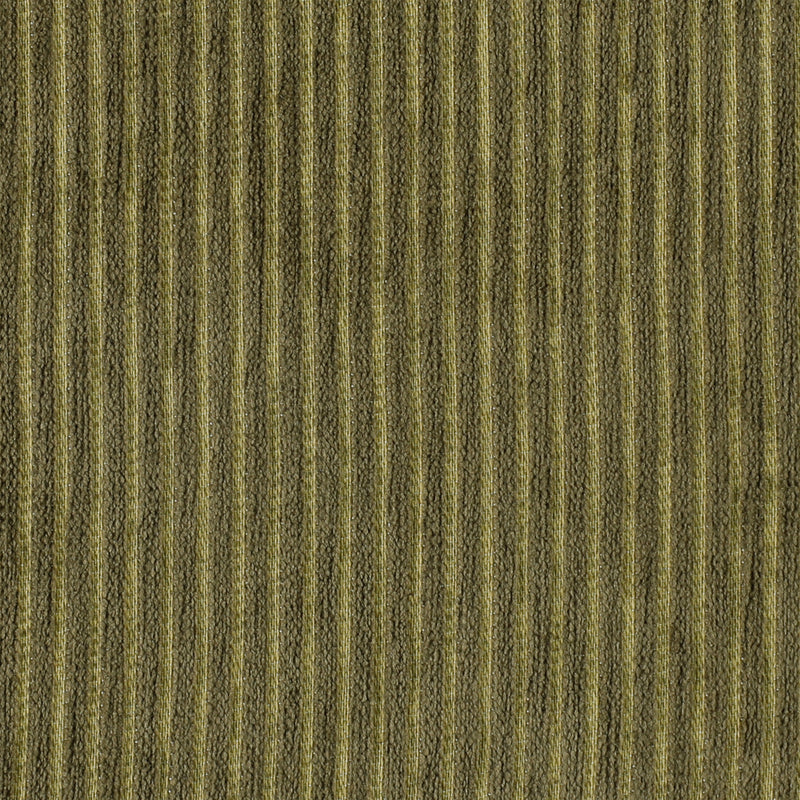 Fine Line Forest