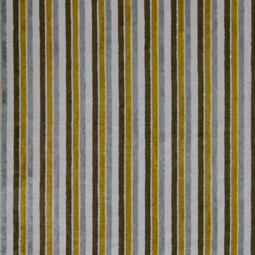 Borderline Citron Fabric Swatch Image