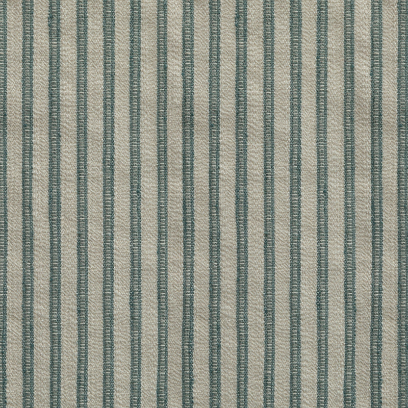 Bones Blue Spruce