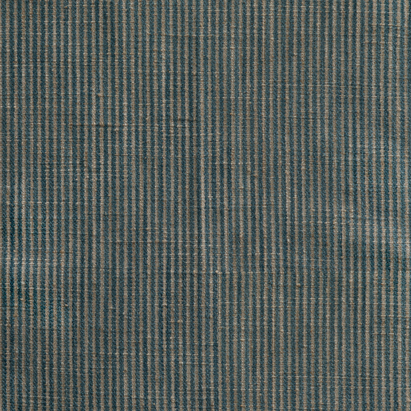 Line After Line Blue Spruce