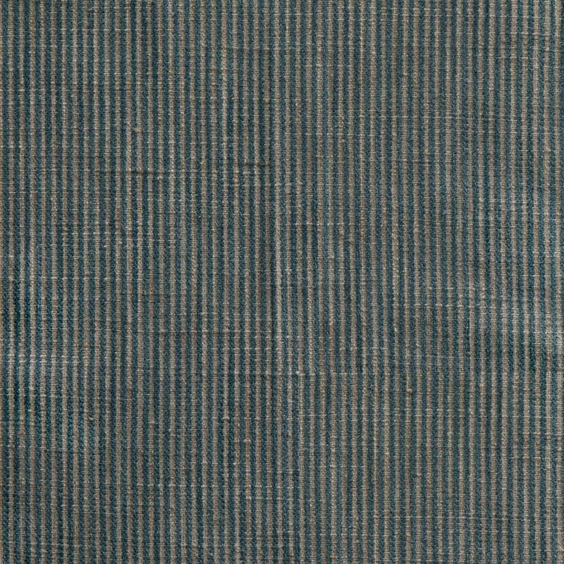 Line After Line Blue Spruce