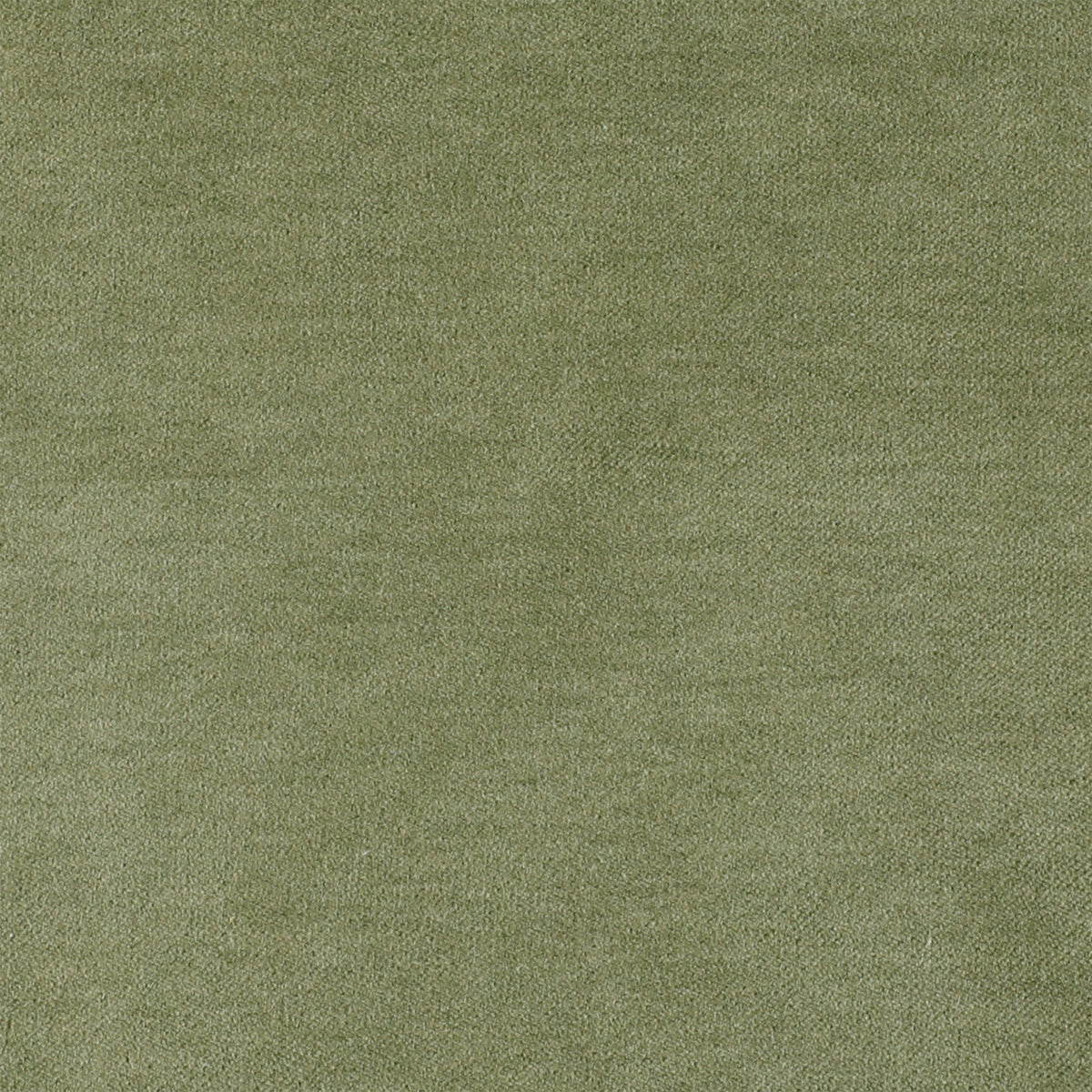 Velvet Moss