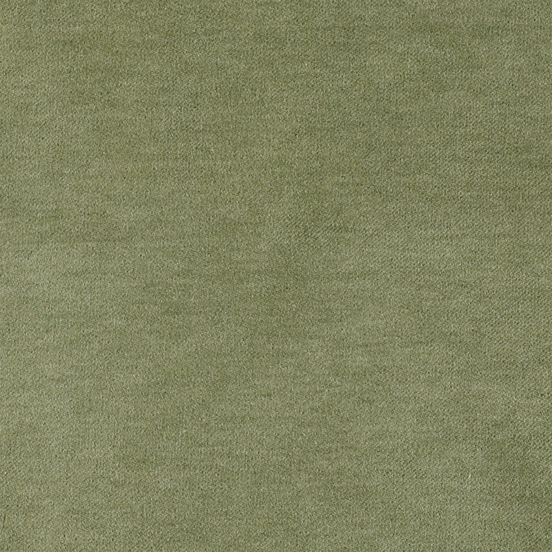 Velvet Moss
