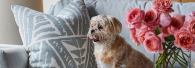 Soil and Stain Resistant Indoor Textiles