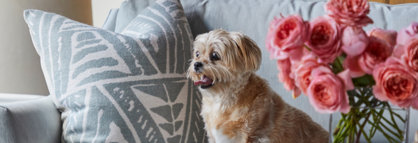 Soil and Stain Resistant Indoor Textiles